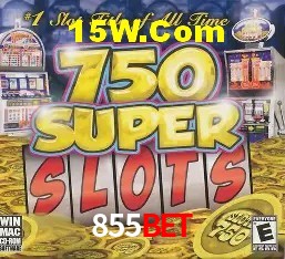 Sistemas de Segurança 855bet