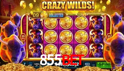 cassino 855bet